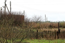 Old fence / ***