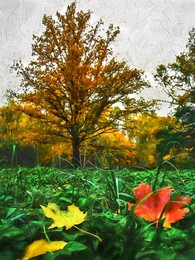 Signs of autumn. / ***