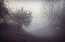 In the fog. / ***