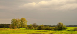 Before the Rain / ***