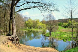 Over the river / ***