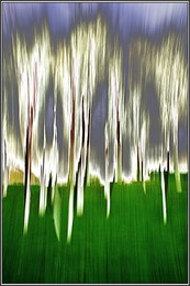 Spring Awakening / ***