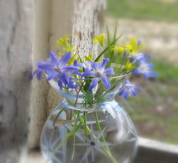 Spring Awakening / ***