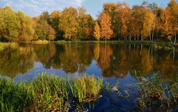 Autumn evening / ***