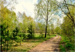 Spring walk / ***