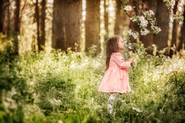 The aroma of spring / ***