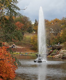 Fountain Snake / ***