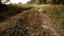 Road / ***