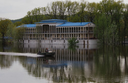 with the wind / -----------