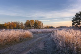 Autumn morning. / ***