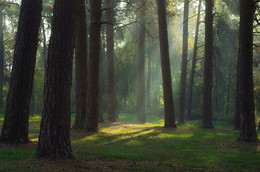 A bit of light / .....