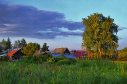 Rural evening / ***