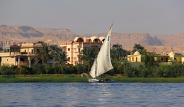Walk along the Nile. / ***