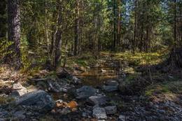 May the forest / ***