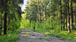 May rain / ***