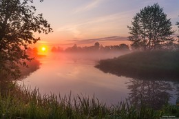 Foggy morning. / ***