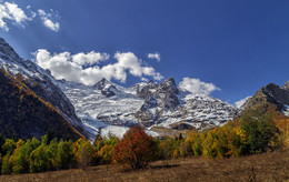 Autumn / ***