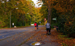 The Unbearable Lightness of Being / ***