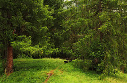 Secluded / ***