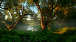 The June evening / ***