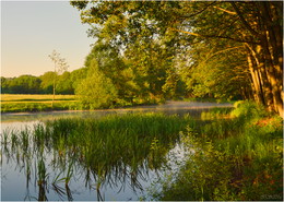 river flows / ***