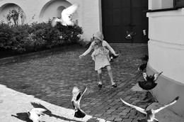 Flight / ...