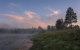 Foggy morning. / ***