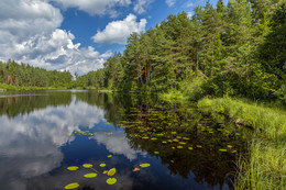 By the lake / ***