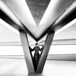 Stylish geometry / ***