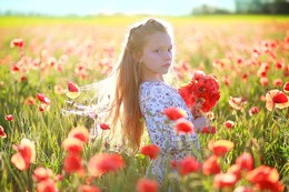 Poppy field / ***