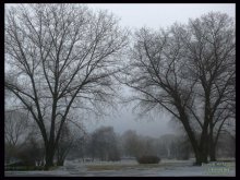 winter with a touch of autumn / ***