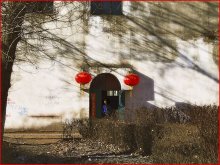 Spring Festival / ***