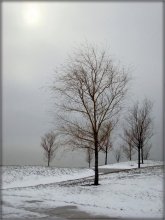 gray winter look / .....