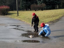 Spring ... Early February / ***