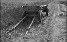 Everyday life of the village. / ***