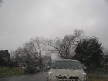 February rain / ***