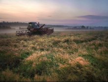 Polyushko-field / ***