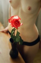 Rosa / *****