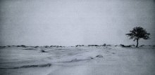 Snowy solitude / ***