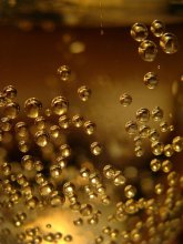 Champagne / ***