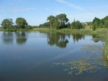 Summer day is bathed in the lake / ***