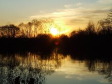 Sunset / ***