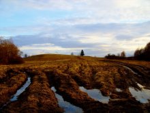 The wounds of the earth. / ****************************