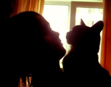 silhouette / ***