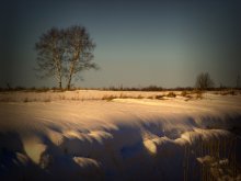 Warm tones of winter. / ***