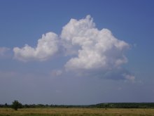 Suddenly, in the heat of a cloud / ***