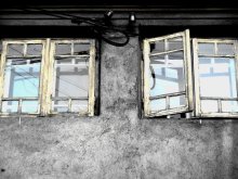 window of freedom / ***