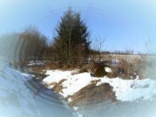 Spring / ***