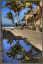 The road to the sea / ***