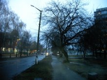 Vyshgorod / ***